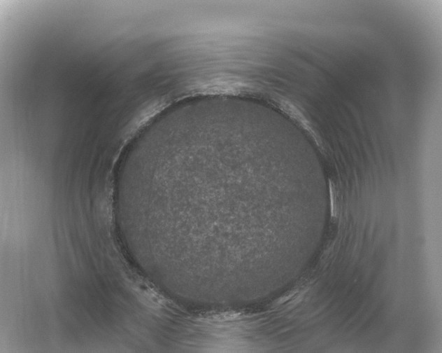 X0000066970675200603311450