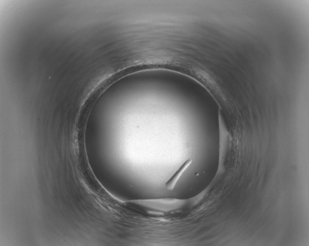 X0000066970676200603311450