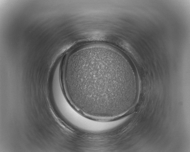 X0000066970677200603311450