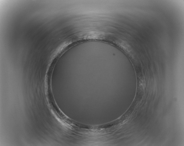 X0000066970678200603311450