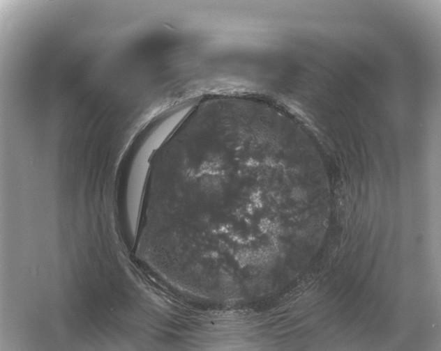 X0000066970679200603311450