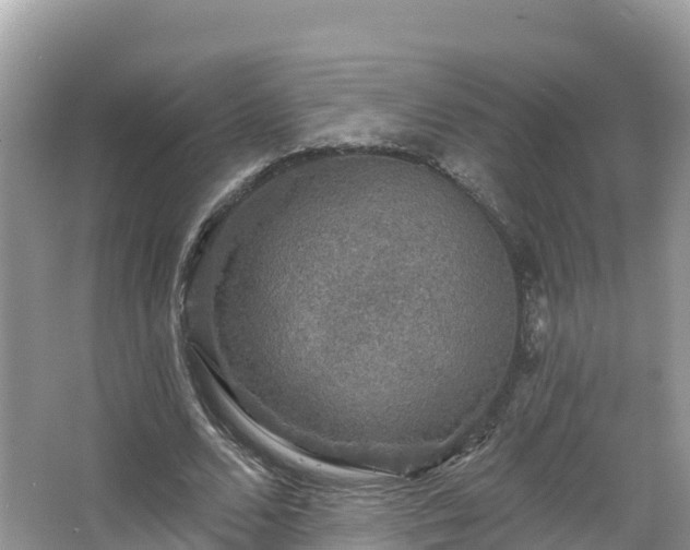 X0000066970680200603311450