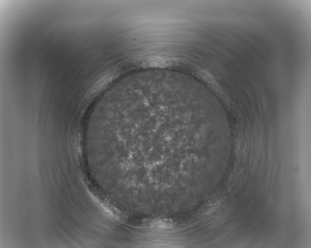 X0000066970683200603311450