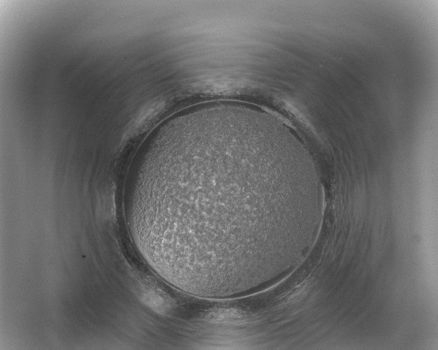 X0000066970685200603311449