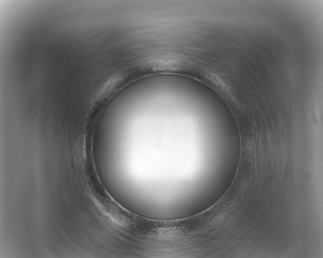 X0000066970686200603311449