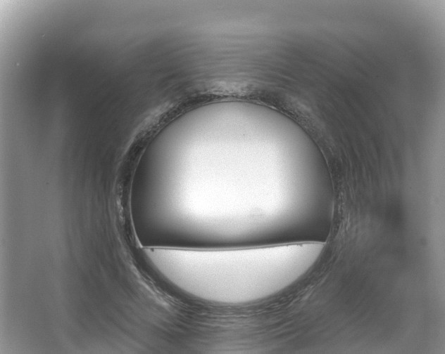 X0000066970688200603311449