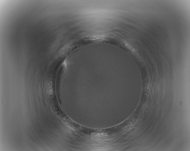 X0000066970689200603311449