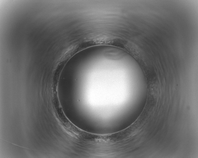 X0000066970690200603311449