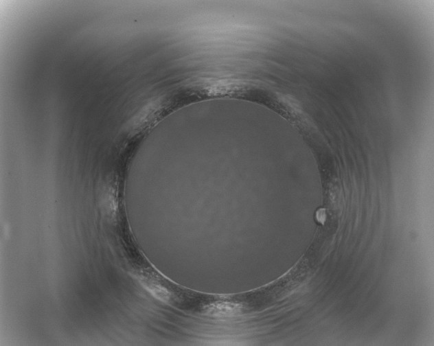 X0000066970691200603311449