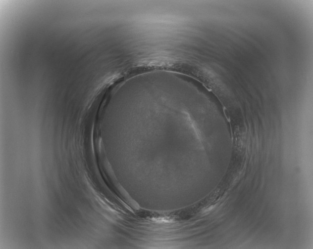 X0000066970692200603311449