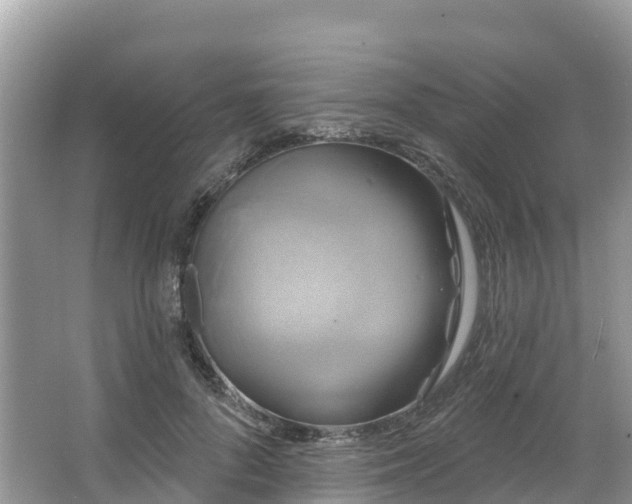 X0000066970696200603311449