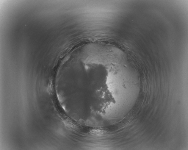 X0000066970699200603311449