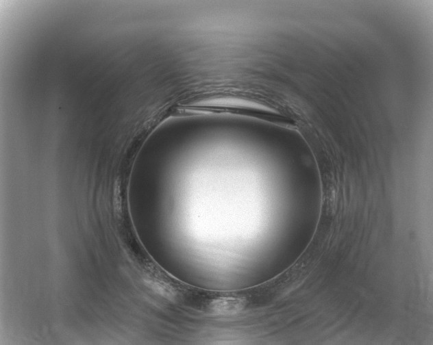 X0000066970700200603311449