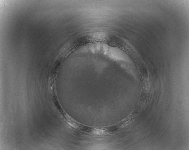 X0000066970701200603311449