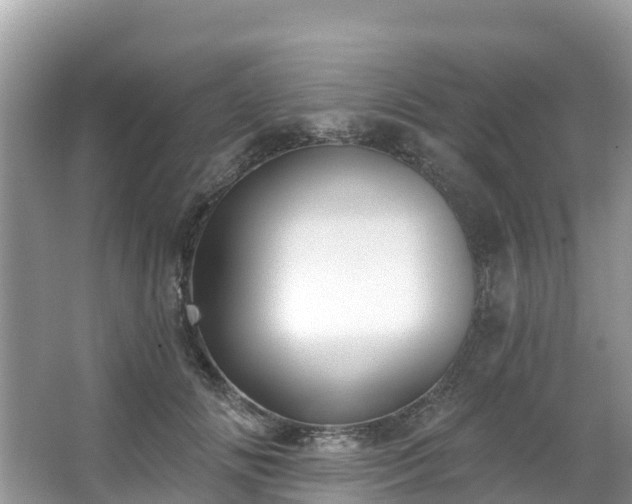 X0000066970702200603311449