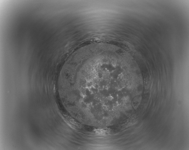 X0000066970703200603311449