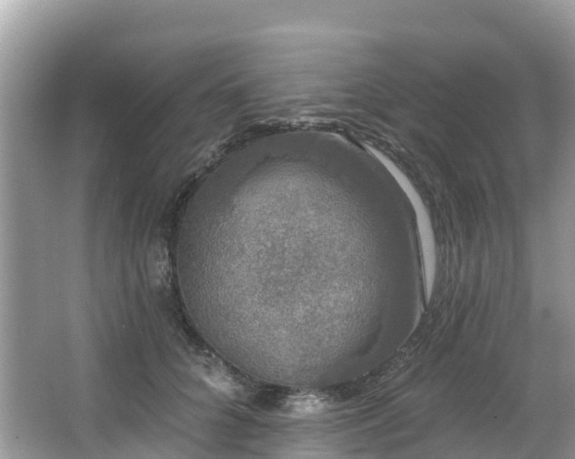 X0000066970704200603311449