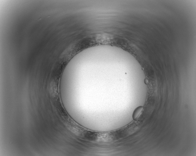 X0000066970705200603311449