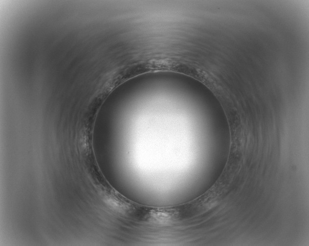 X0000066970706200603311449