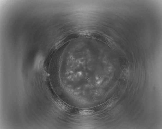 X0000066970707200603311449