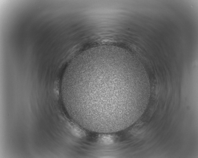 X0000066970710200603311449