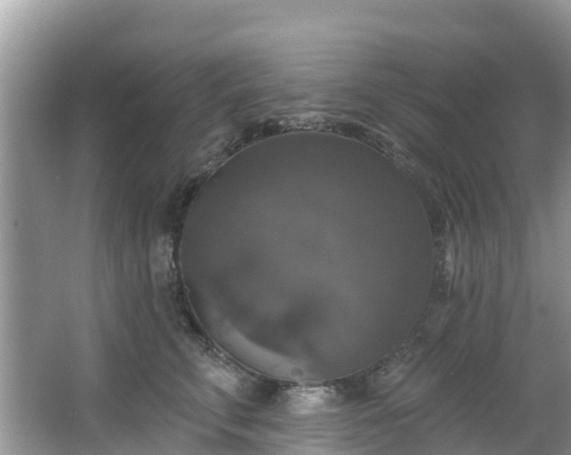 X0000066970711200603311449