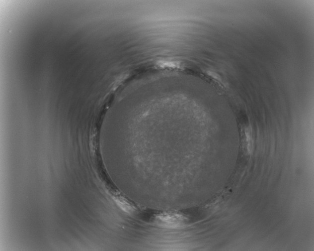 X0000066970712200603311449