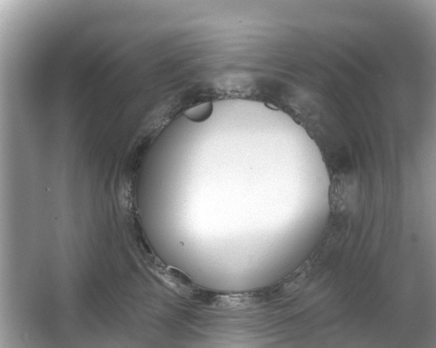 X0000066970713200603311449