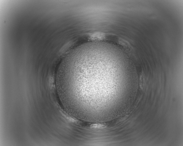 X0000066970714200603311449