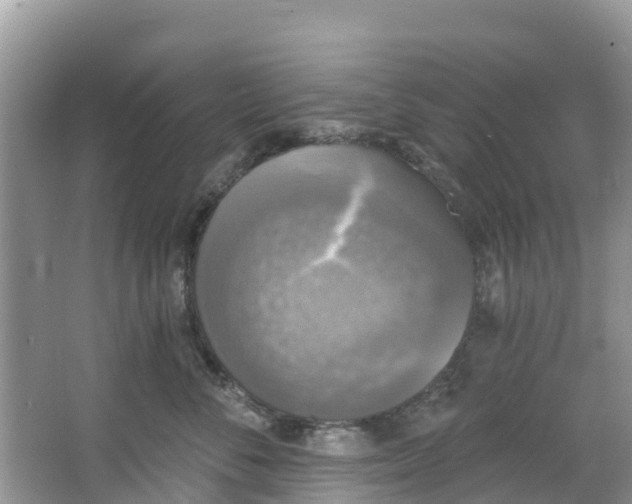 X0000066970716200603311449