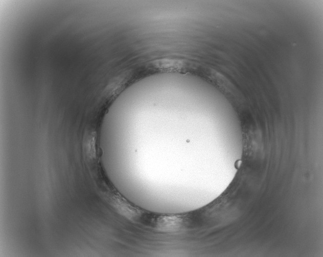 X0000066970717200603311449