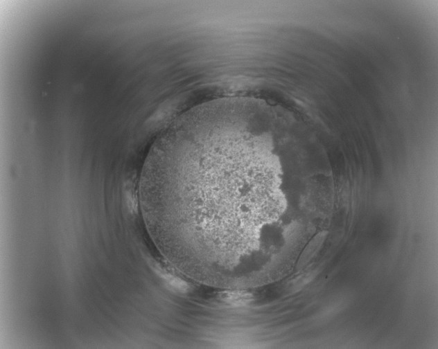 X0000066970719200603311449