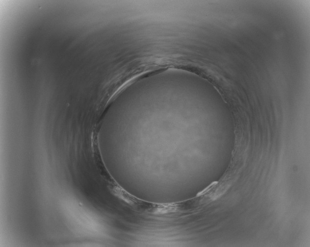 X0000066970720200603311449