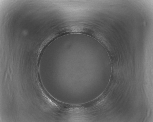 X0000066970721200603311448