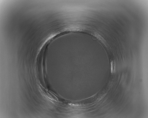 X0000066970723200603311448