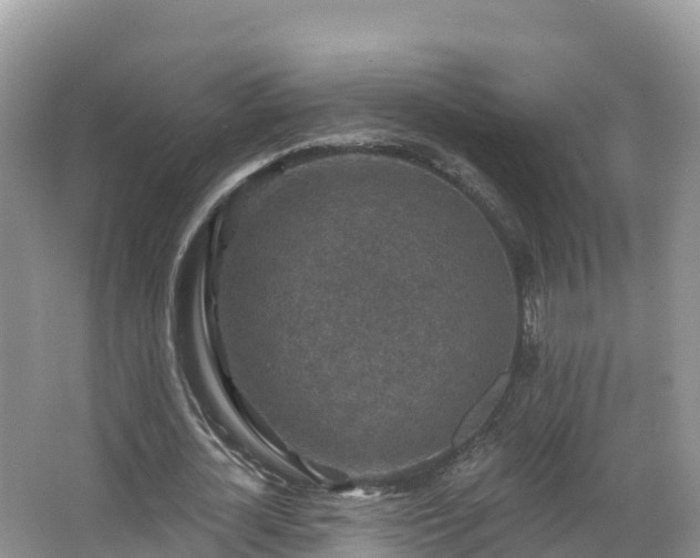 X0000066970724200603311448