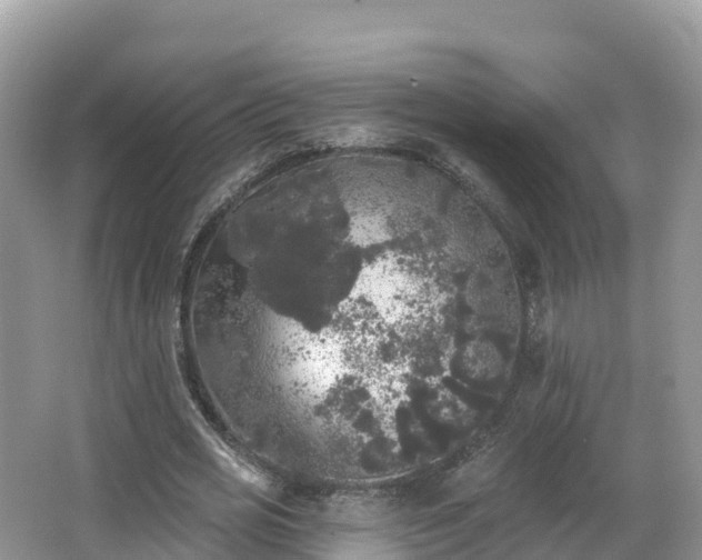 X0000066970725200603311448