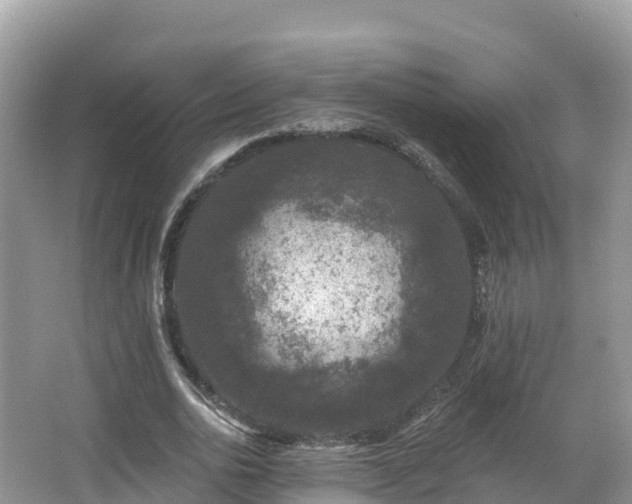 X0000066970726200603311448