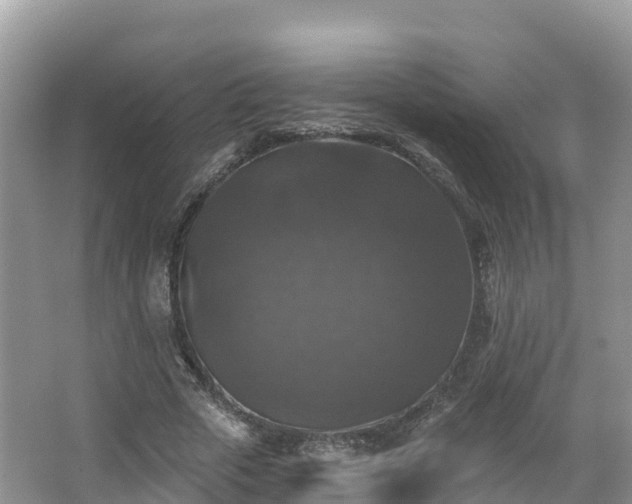 X0000066970729200603311448