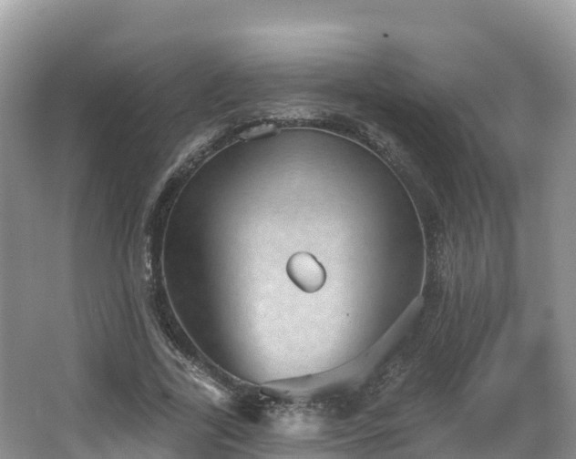 X0000066970731200603311448