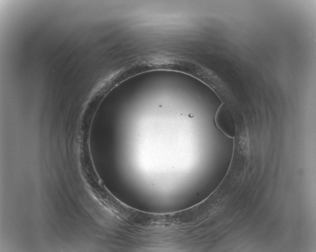 X0000066970732200603311448