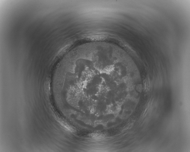 X0000066970733200603311448