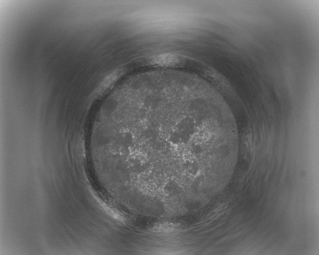 X0000066970734200603311448