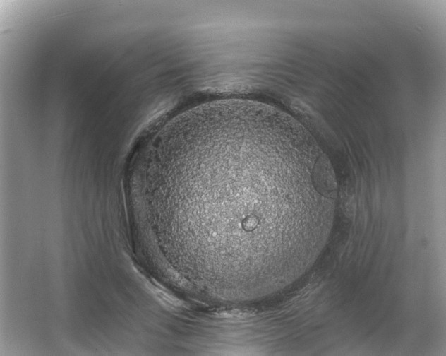 X0000066970735200603311448