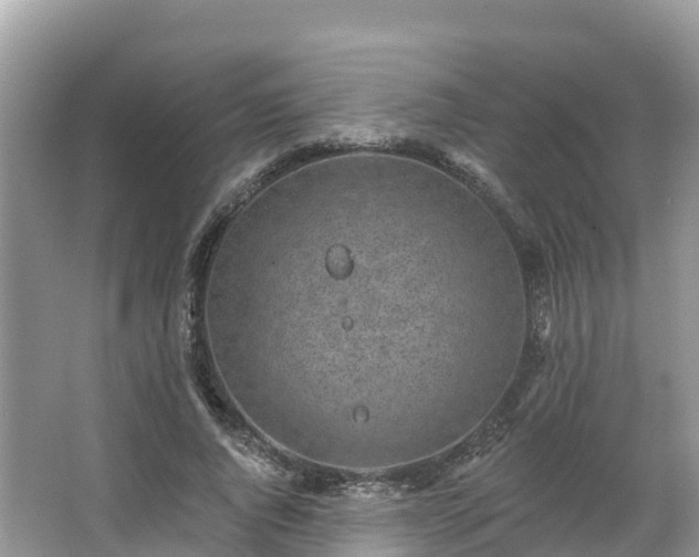 X0000066970736200603311448