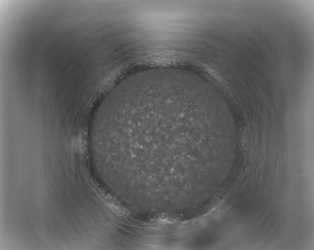 X0000066970737200603311448