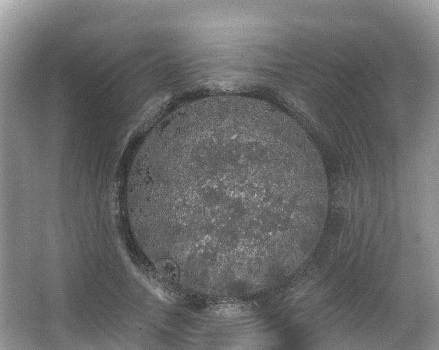 X0000066970738200603311448