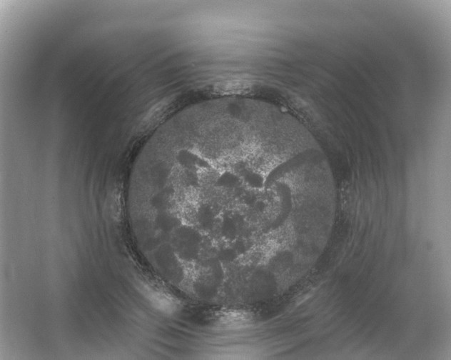 X0000066970741200603311448