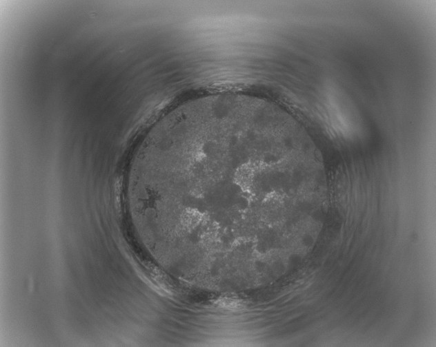 X0000066970742200603311448