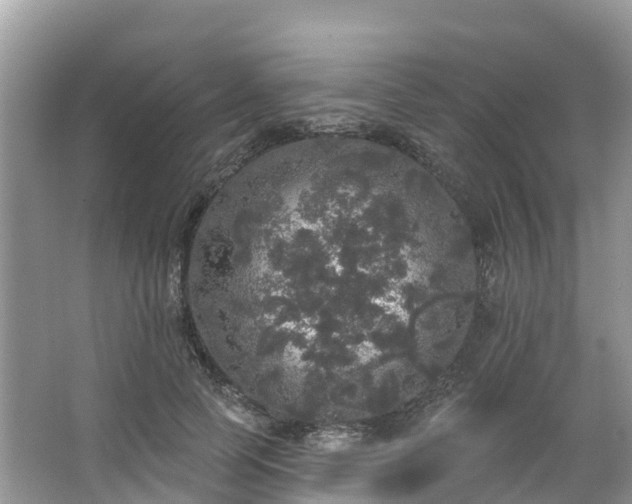 X0000066970745200603311448